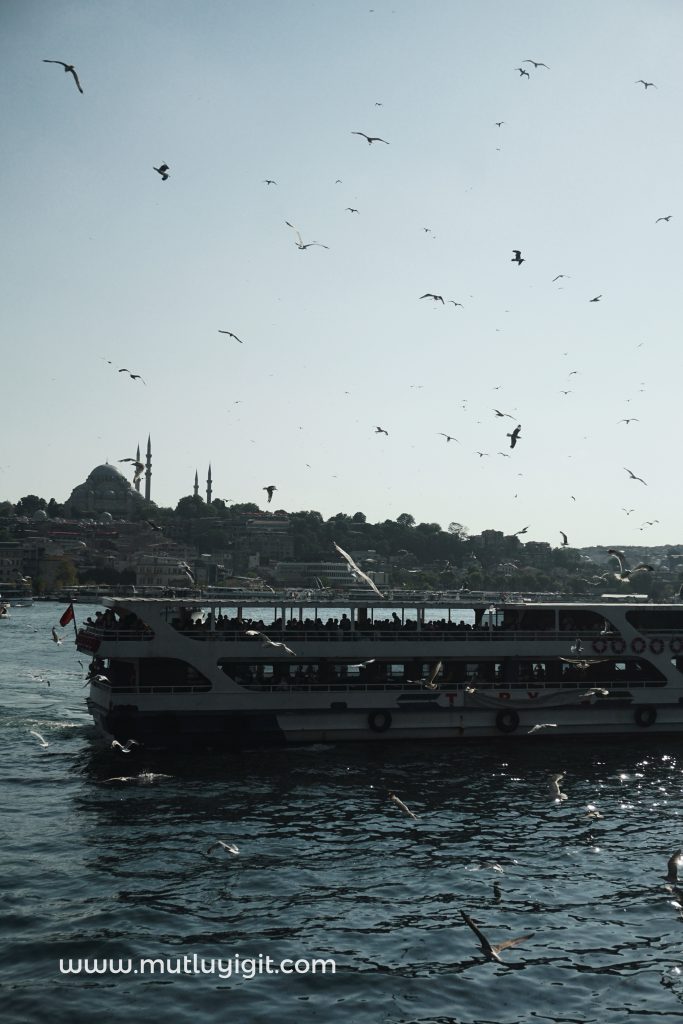 martılar eşliğinde vapur, boğaz ve İstanbul silueti