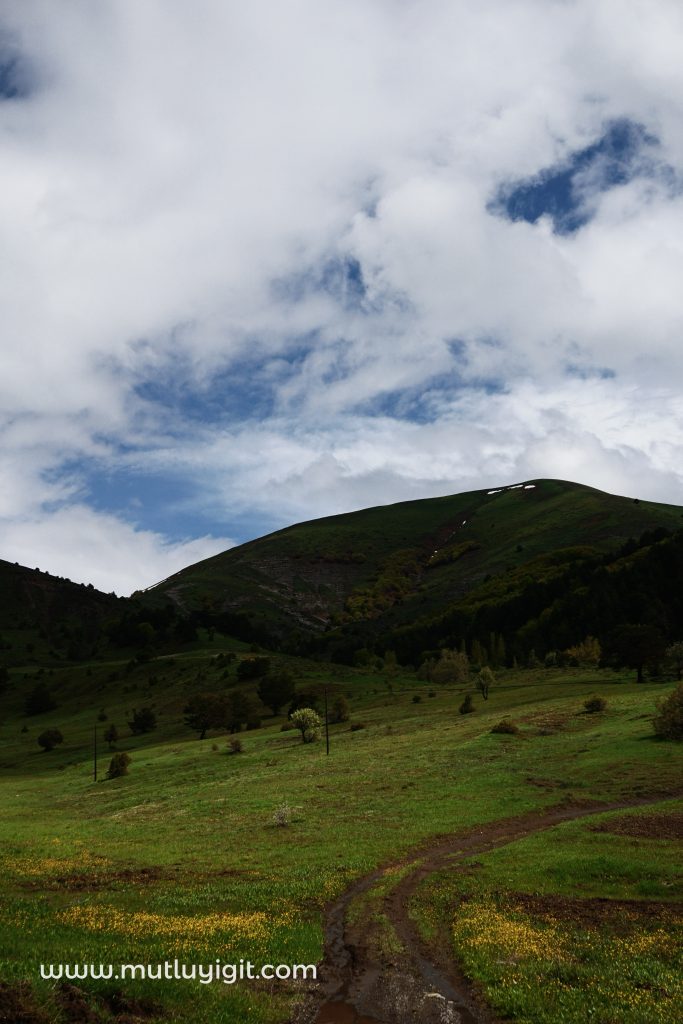 dağ yolu, yeşillik ve bulutlu mavi gökyüzü,sivas